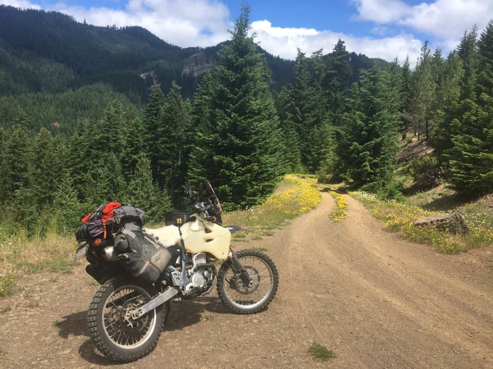 DRZ.jpg