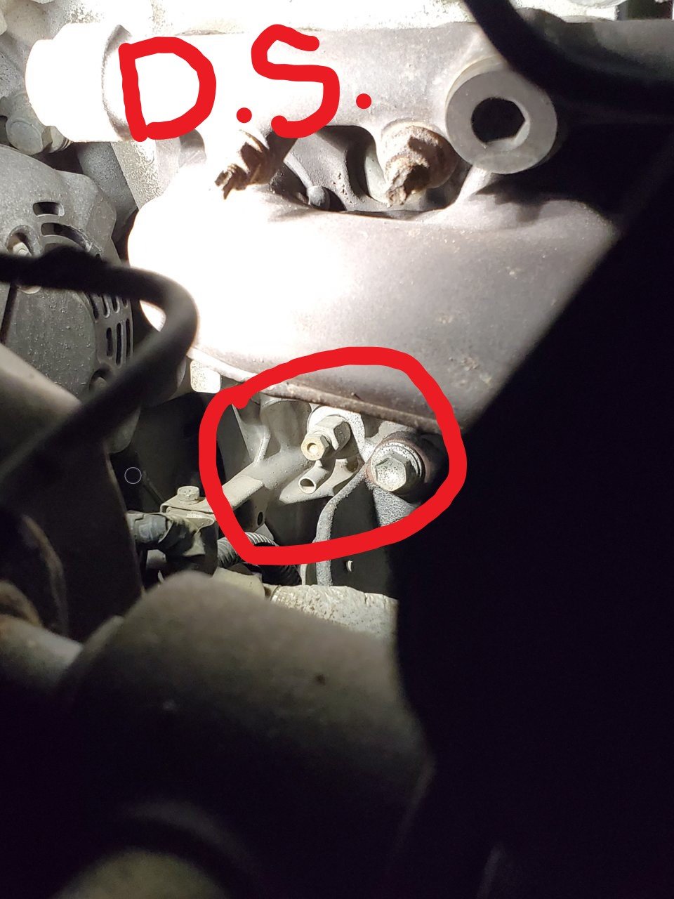 DS block drain circled.jpg