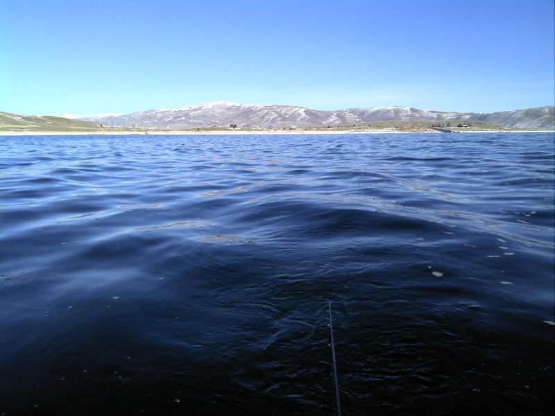DSC00001.jpg