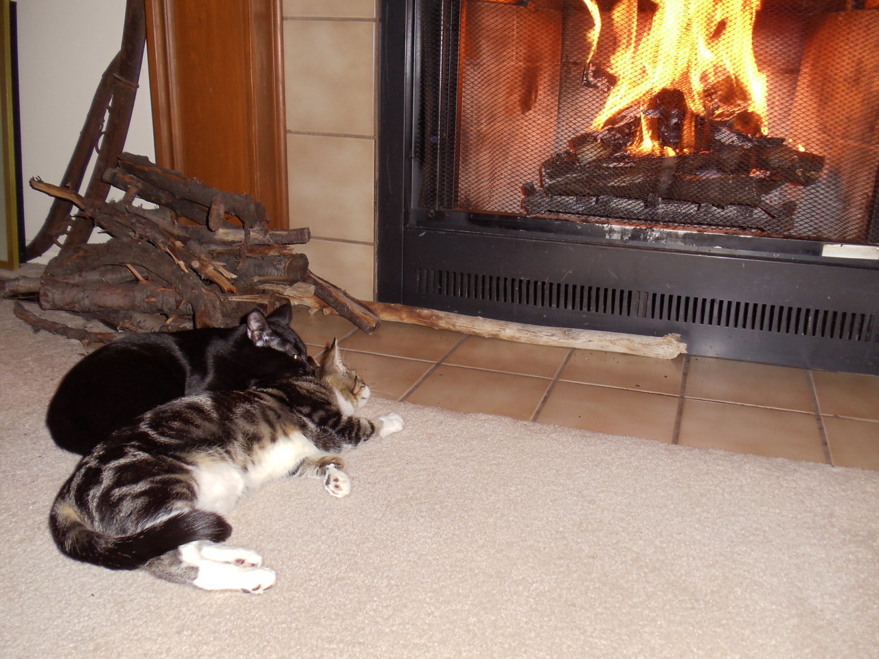 DSC00002.jpg