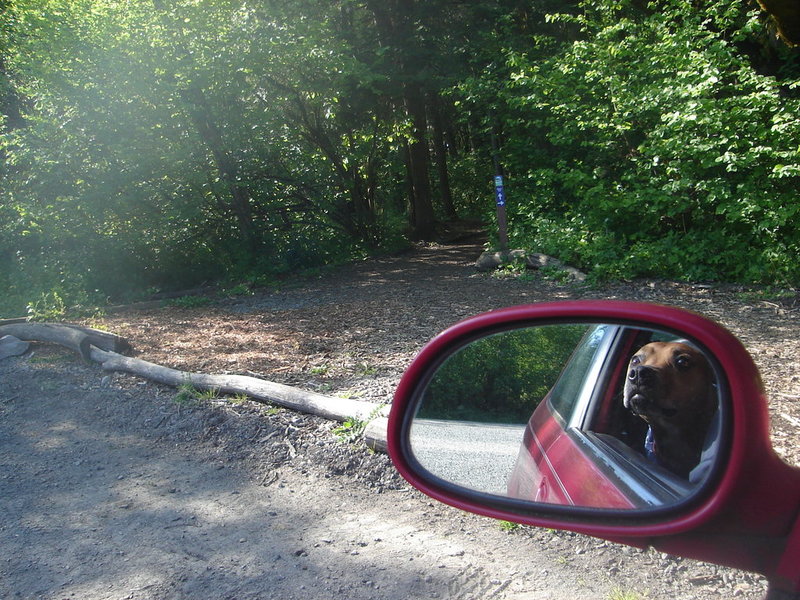 DSC00002.jpg