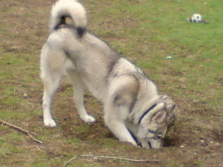 DSC00005.jpg