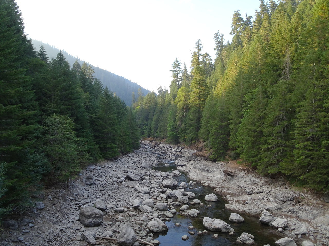 DSC00011.jpg
