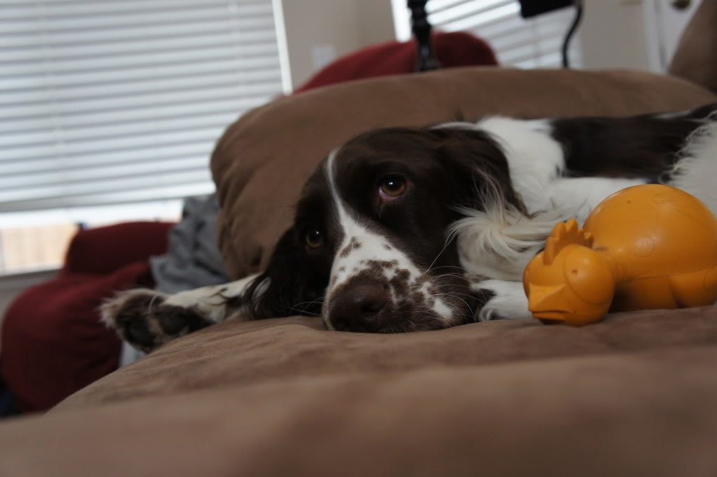 DSC00030_a451e6354fb878487ac5e5fef041c7fe2d573af2.jpg