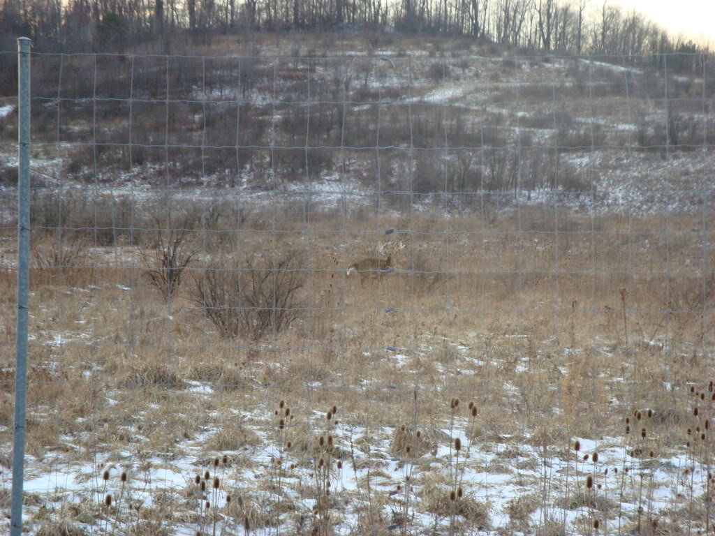 DSC00051_88c890f9153110dac13b3aaf3e833d2afed29de0.jpg