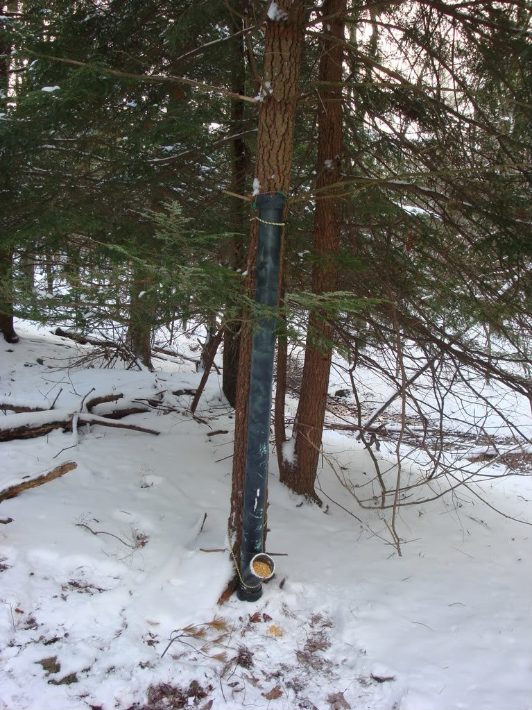 Homemade Deer Feeder Tacoma World