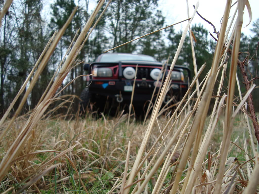 DSC00093_8b4510dc2aa7eb09f700f29003ec82cc5a3e1374.jpg