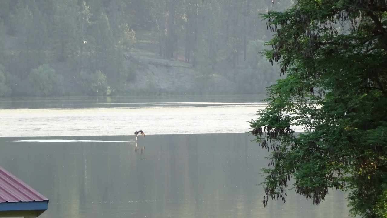 DSC00134.jpg
