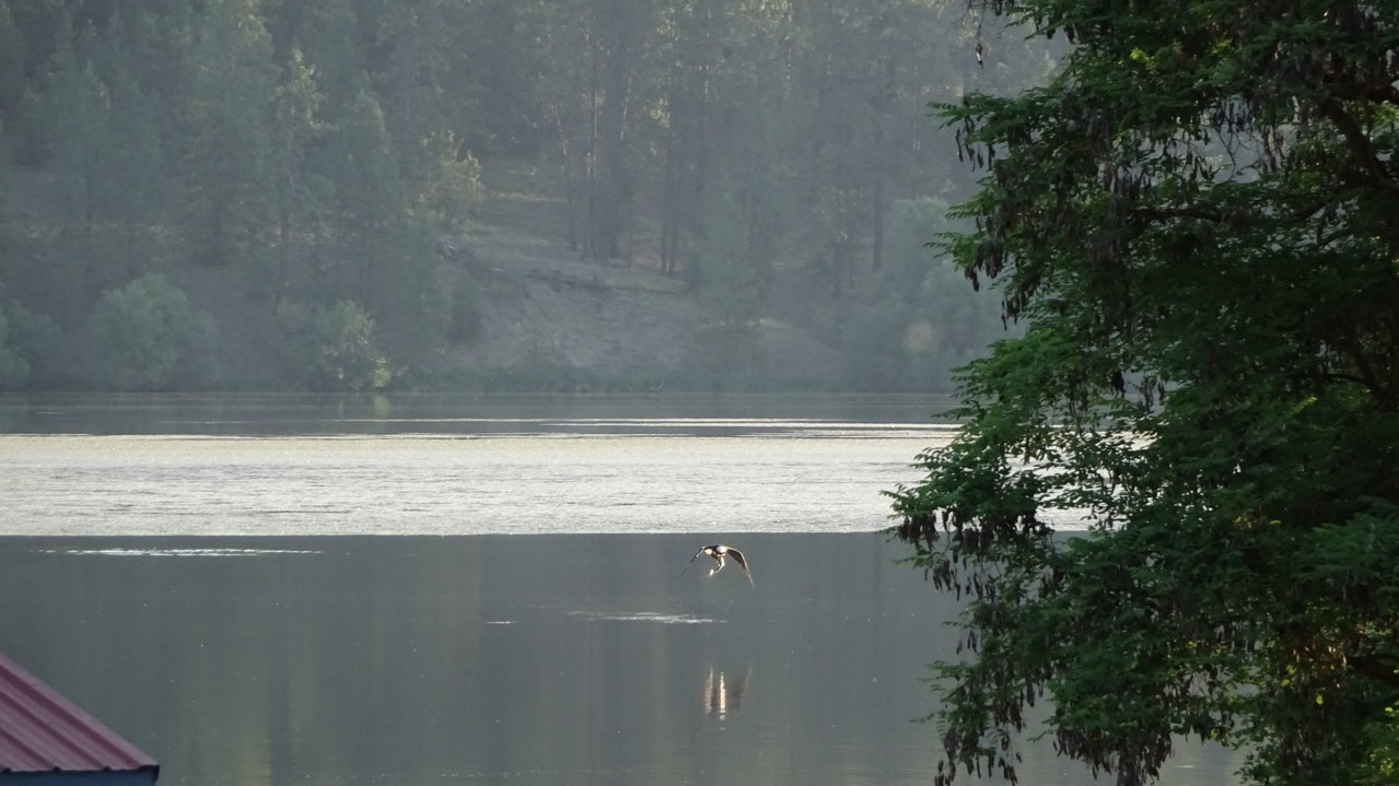 DSC00135.jpg