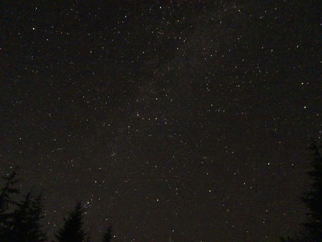 DSC00144.jpg