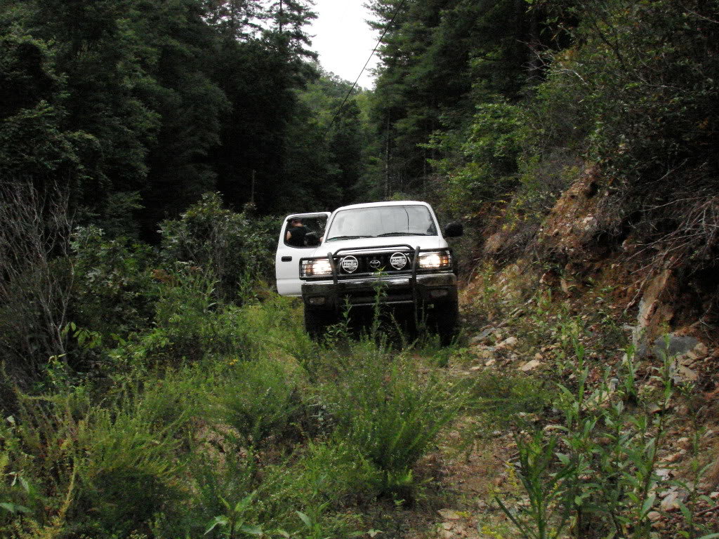 DSC00144_2912003ce380cf453537eb1a6ffe1eb7e13271df.jpg