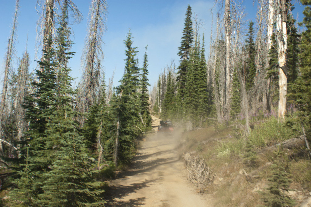 DSC00173_c9b8ef6da3ffe7a9caa937c5d84b7c7c09f65b7b.jpg