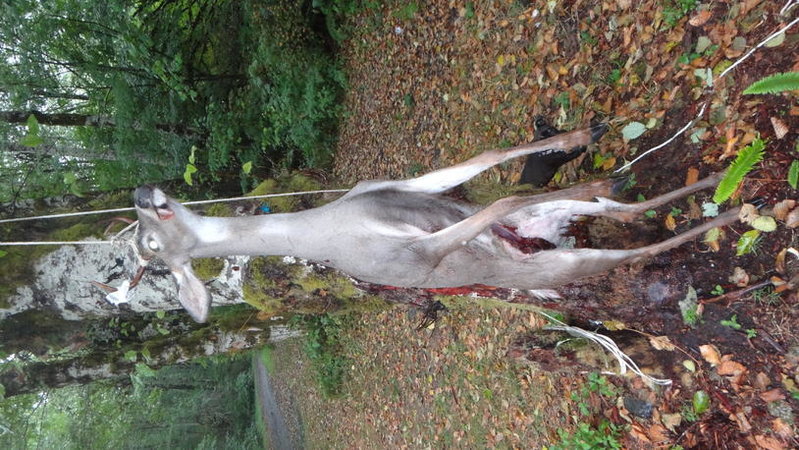DSC00174.jpg