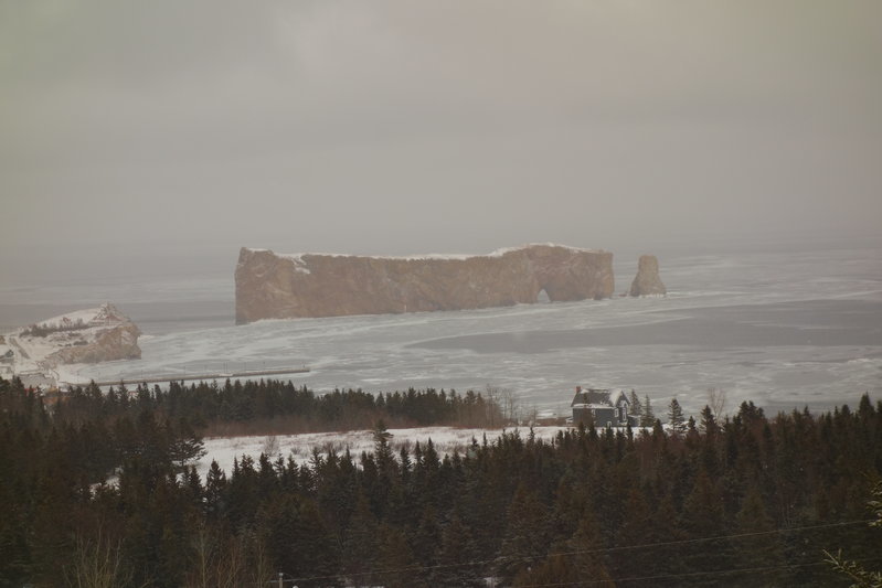 DSC00175.jpg