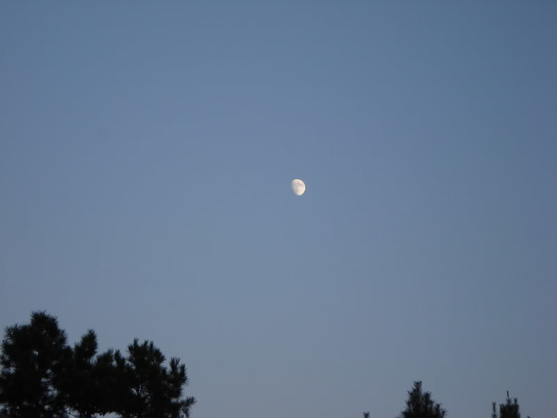 DSC00195_ce4654c0188c836a73c7dfbb1e7a3a2e12ca3190.jpg