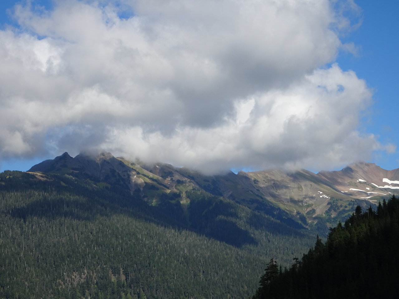DSC00224.jpg