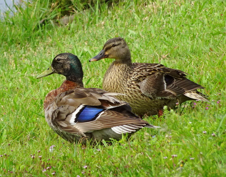 DSC00257.jpg