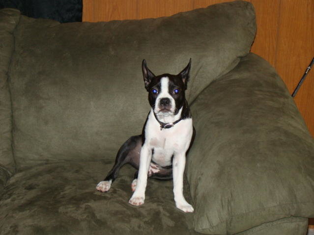 DSC00260.jpg
