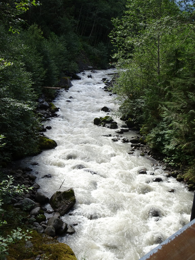 DSC00269.jpg