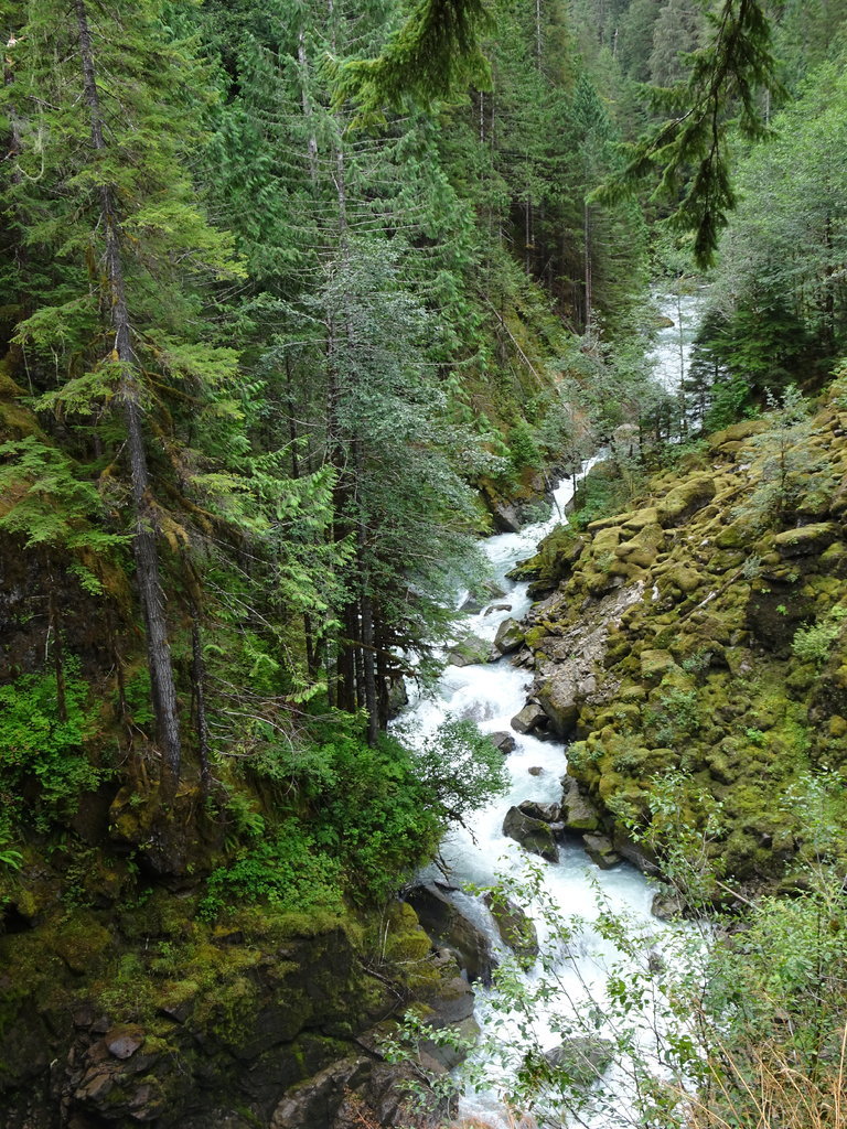 DSC00279.jpg