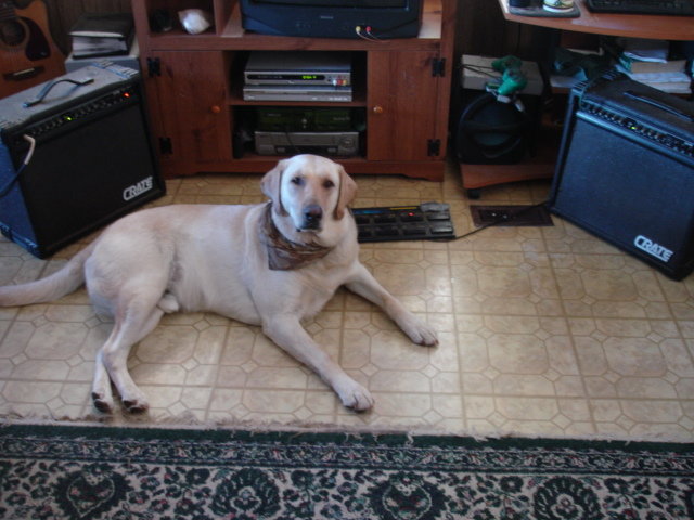 DSC00283.jpg