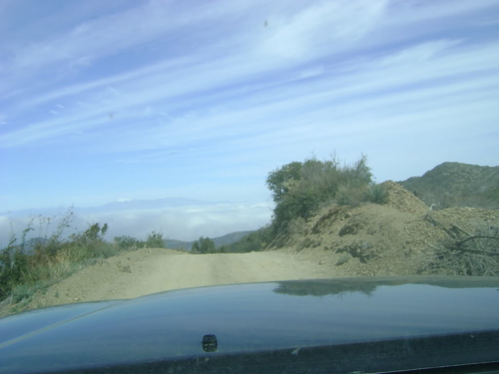 DSC00346_40941006ea7347bd70e3221d0a57b93781eb4ed1.jpg