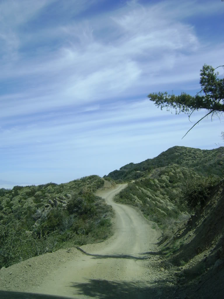 DSC00347_05c2f5c6ae856ce471d55d539bf8da6ca38ef275.jpg