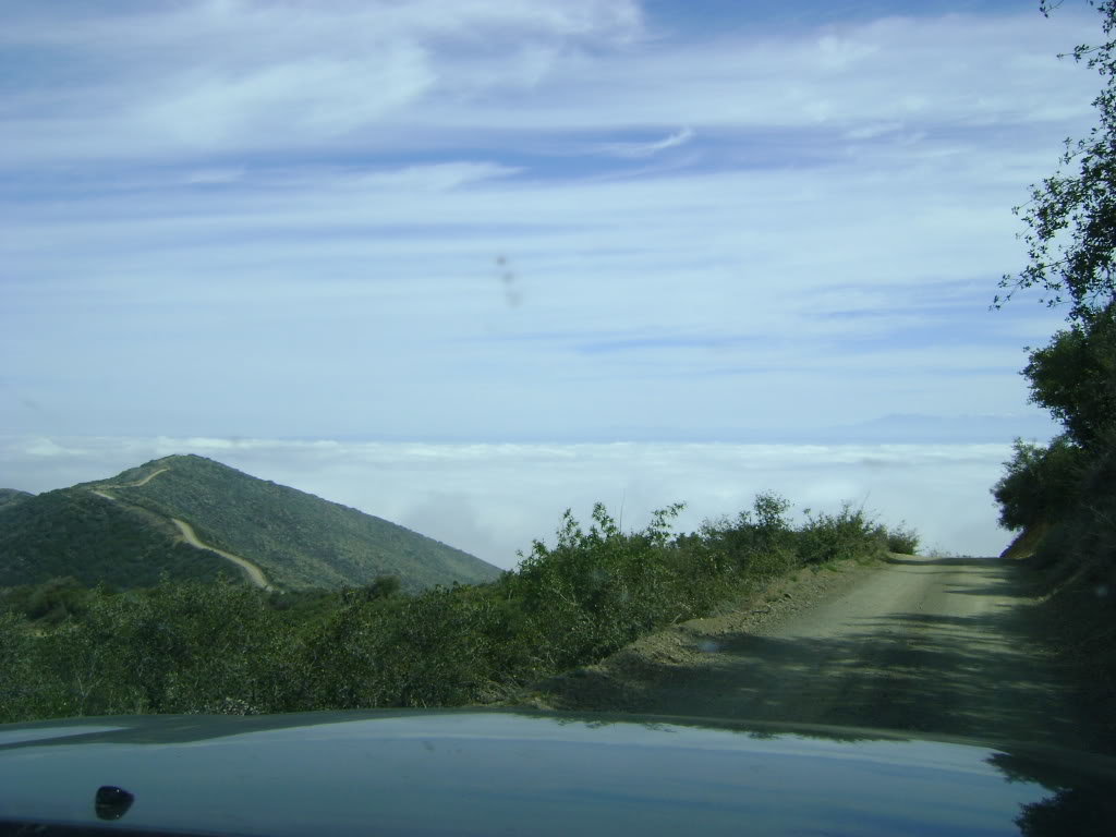 DSC00350_9b63e89ba457d0007fe03ab590b15a316e06e030.jpg