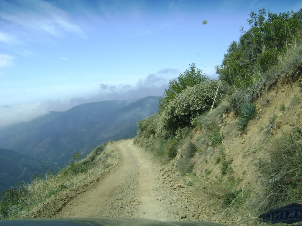 DSC00355_03b1e92729523011f0c76ea13c34d429d3d1d26e.jpg