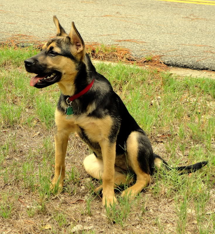 DSC00371_0b46490f743801b0e39e4fc6f26b60a83bab8254.jpg