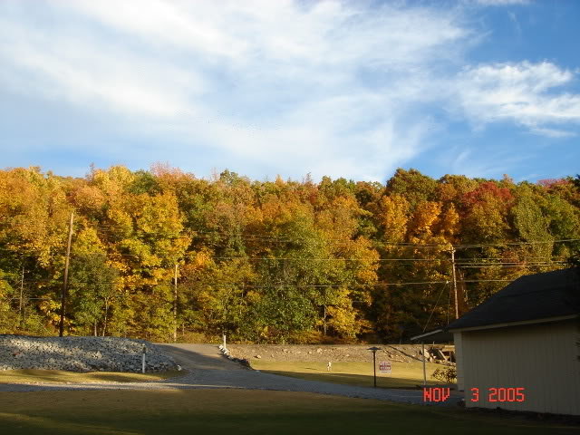 DSC00438_85f01cb3d87f75ee757204a74ddee0d37d1a0907.jpg