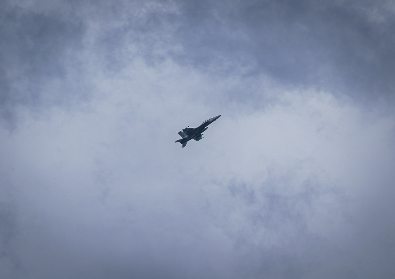 DSC00475s.jpg