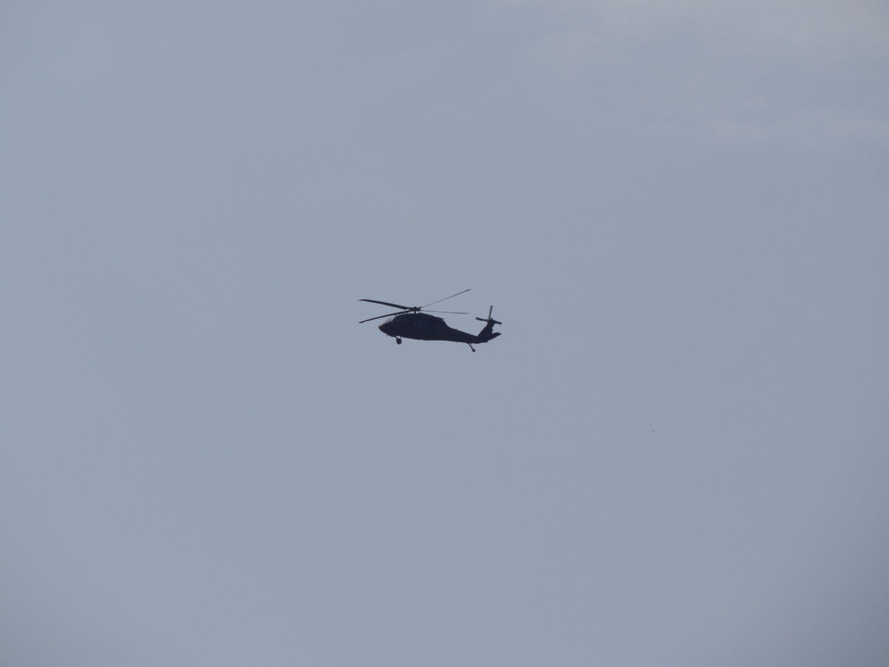 DSC00499.jpg