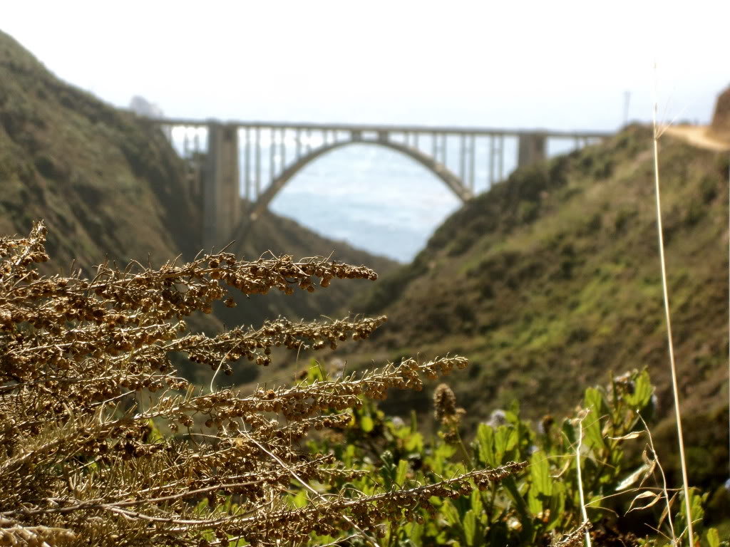 DSC00519_b4f88e19fc49ff6566d5ef5ca0c68d45d7331bb4.jpg