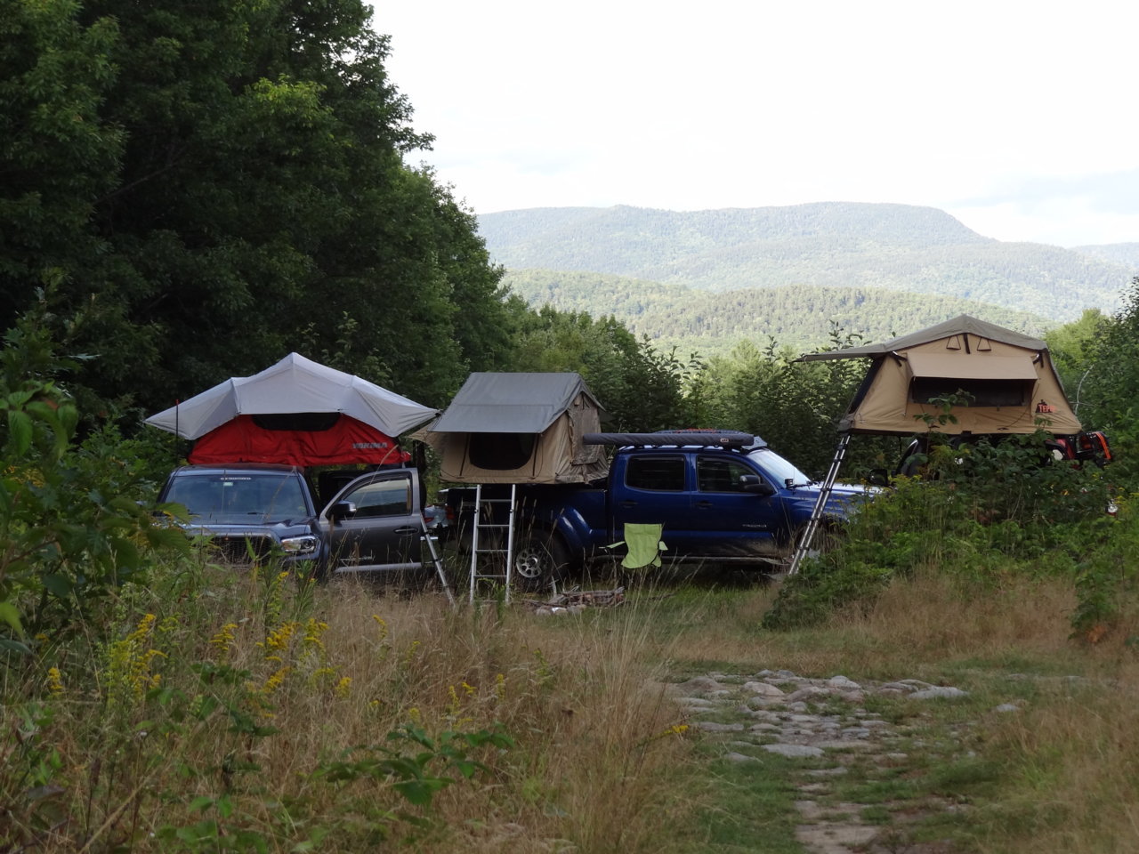 DSC00550.1.jpg
