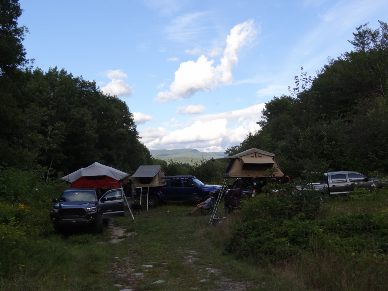 DSC00550.jpg