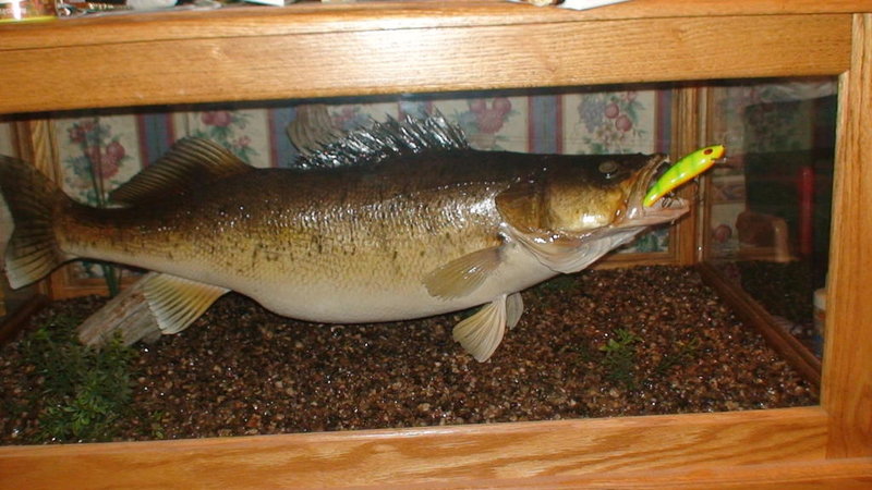 DSC00554.jpg