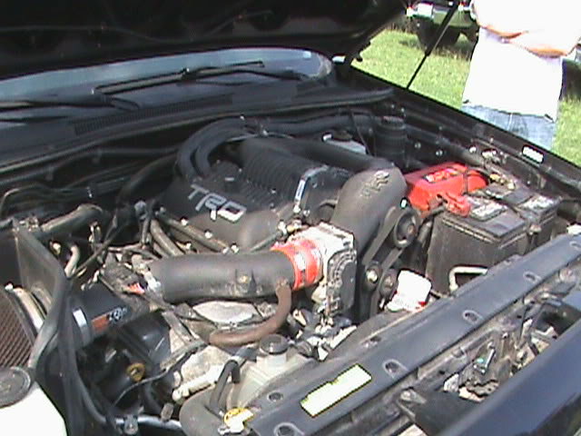 DSC00568_eb9291cd6176ce046d8d523a3eb21fa71f548e79.jpg