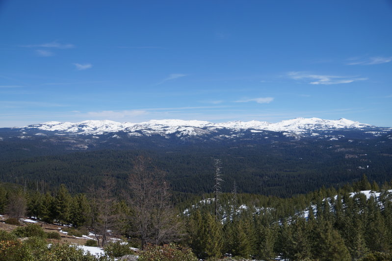 DSC00625.jpg