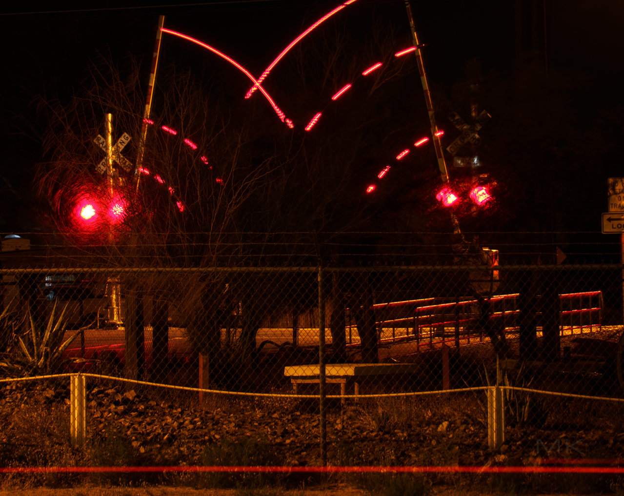DSC00684s.jpg