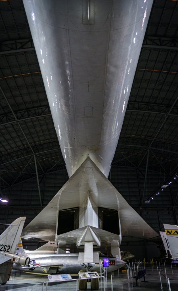 DSC00695.jpg