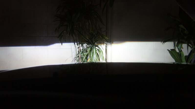 DSC00706_e324210af87ea693a9210e55e7dbf46173ddd67e.jpg