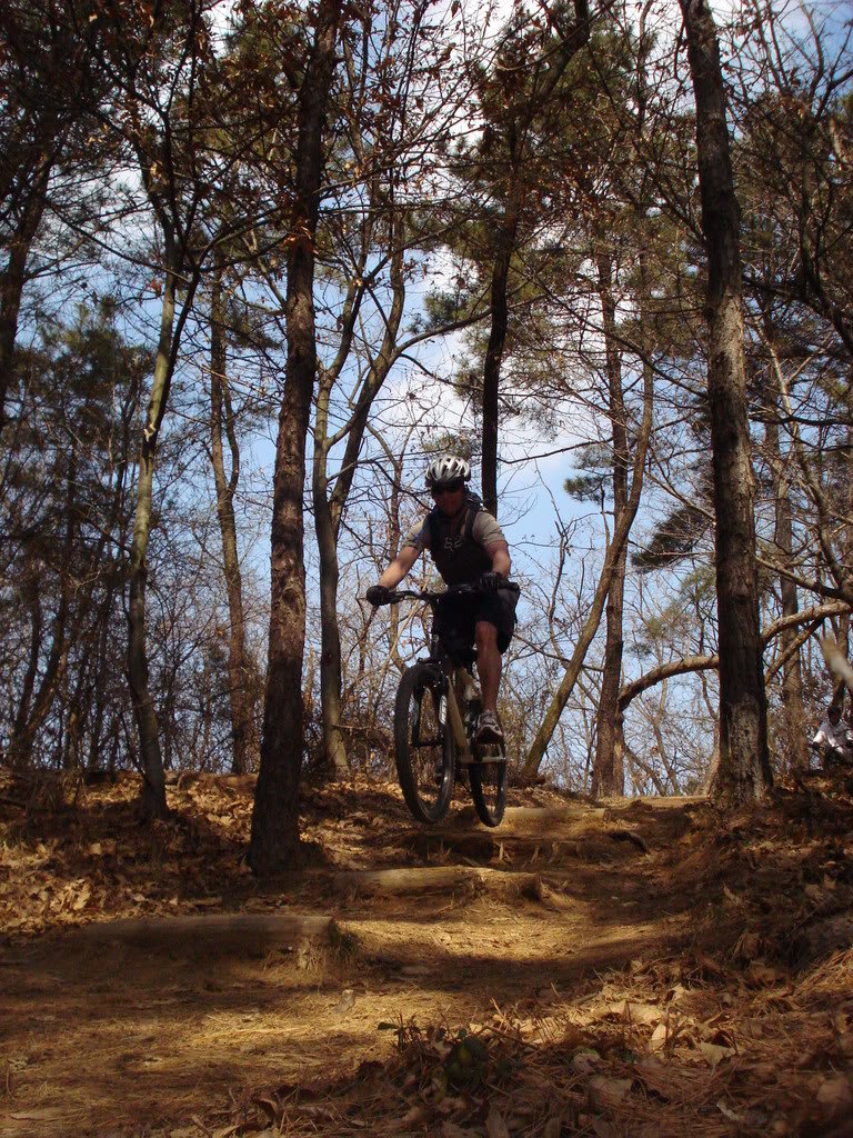 DSC00736_14059965289386f3d9449fd308241b425538134d.jpg