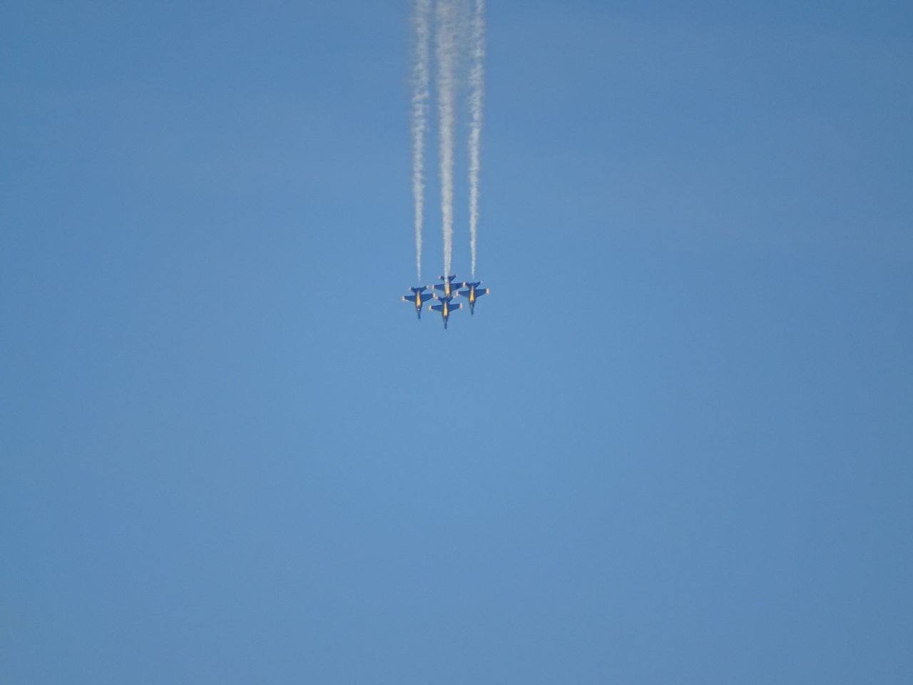 DSC00764.jpg