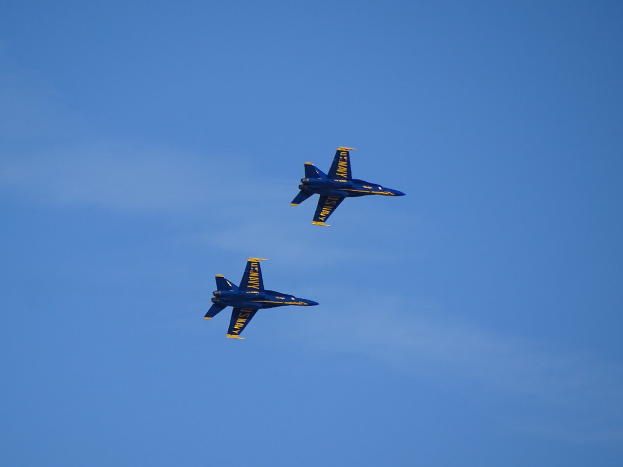DSC00765.jpg