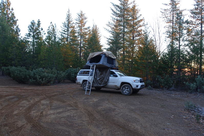 DSC00784.jpg