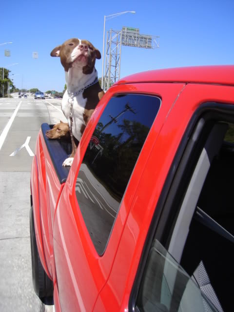 DSC00790_108351738baaa781e9c5238f9492838b38bd44e1.jpg
