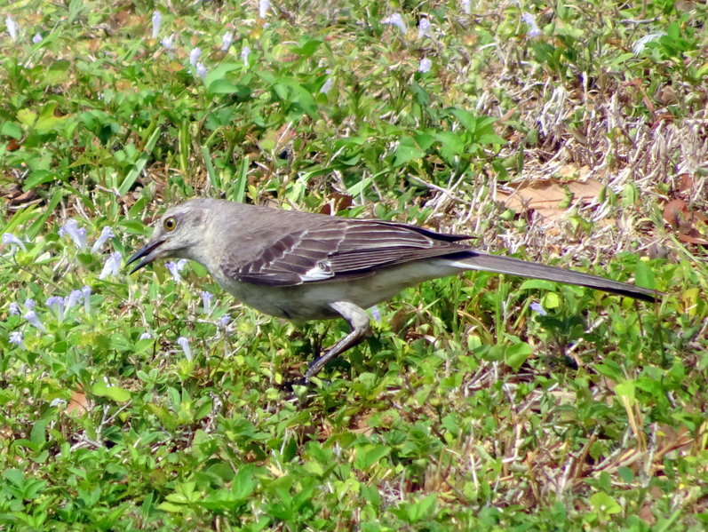 DSC00862.jpg