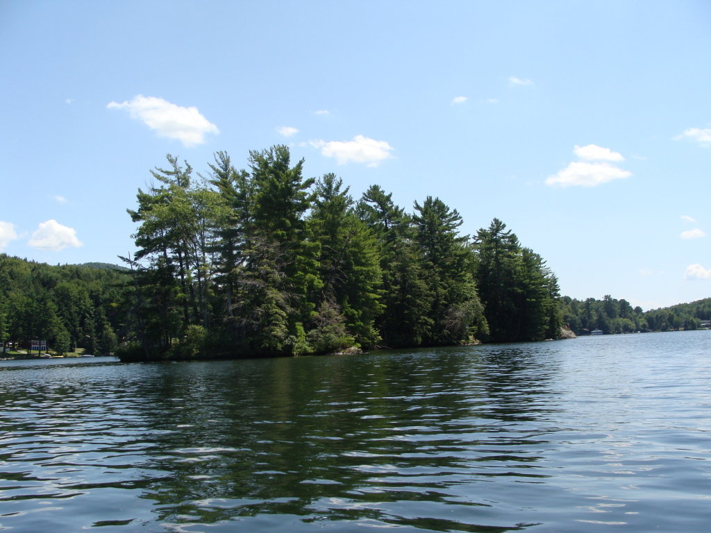 DSC00901_ea080b3c1e33ead8492e99d67f8c35ac4c814ebc.jpg