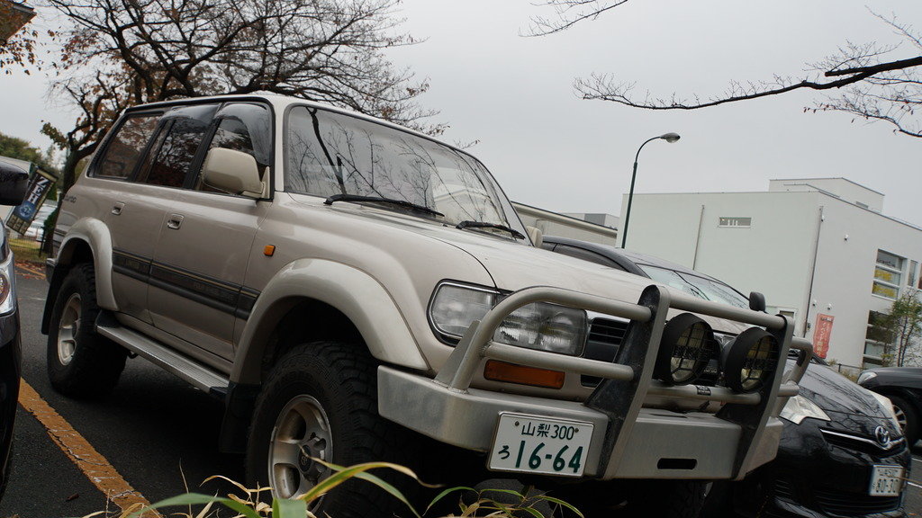 DSC00918_a1d47f57b078c6bae9c4d8b4eba1b943ac92ce12.jpg
